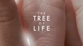 The Tree of Life [2011]