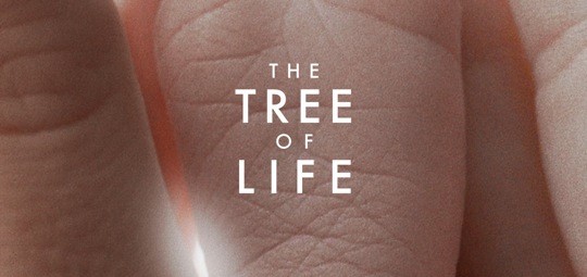 The Tree of Life [2011]