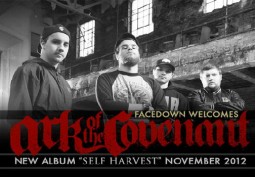 Facedown Signs Ark of the Covenant