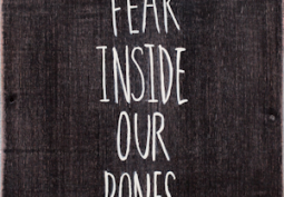 Album Review: The Almost – Fear Inside Our Bones
